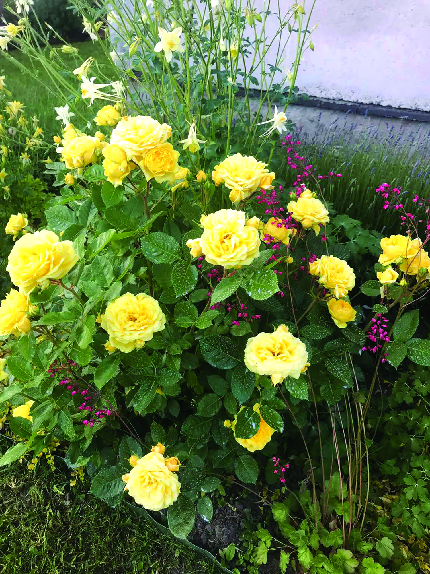 изображение viber 2025 11 03 09 44 17 801