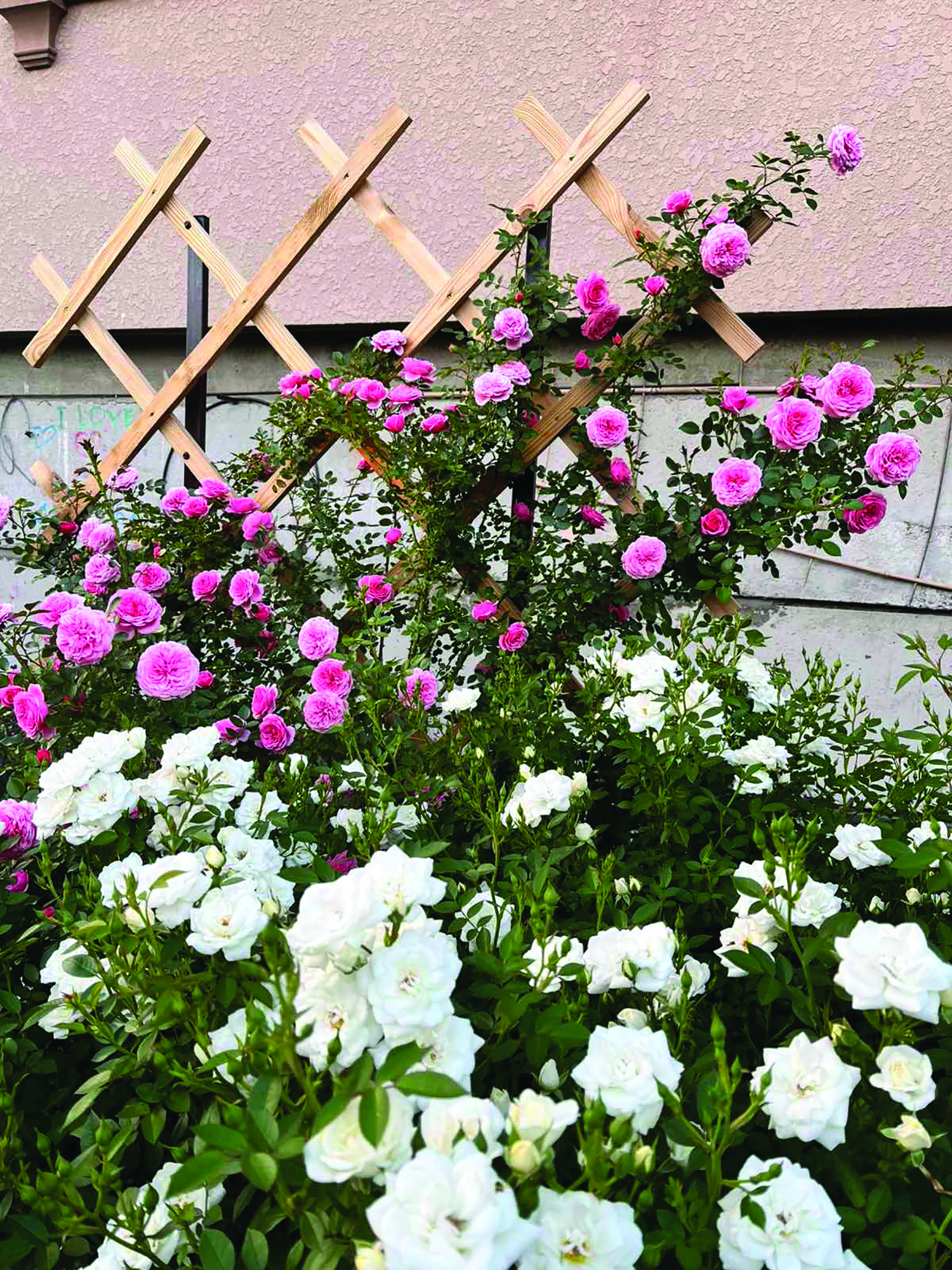 изображение viber 2025 11 03 09 44 35 181