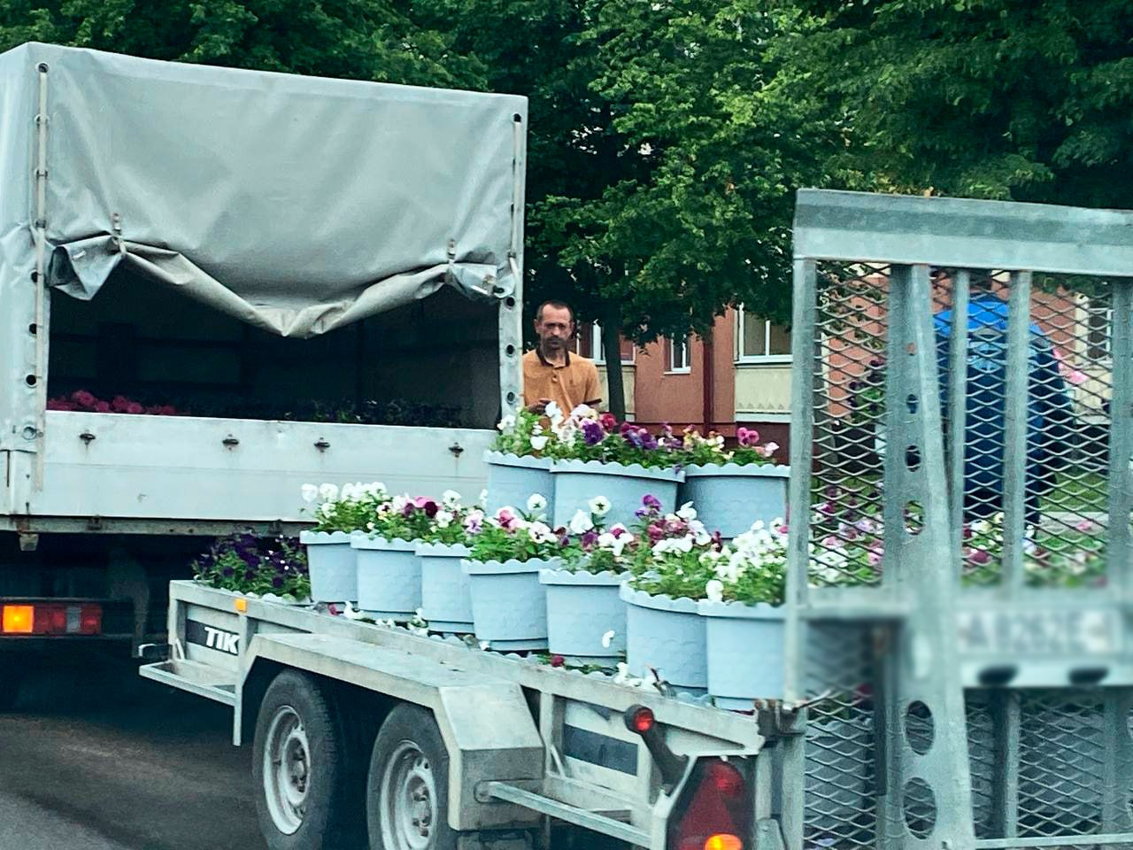 п