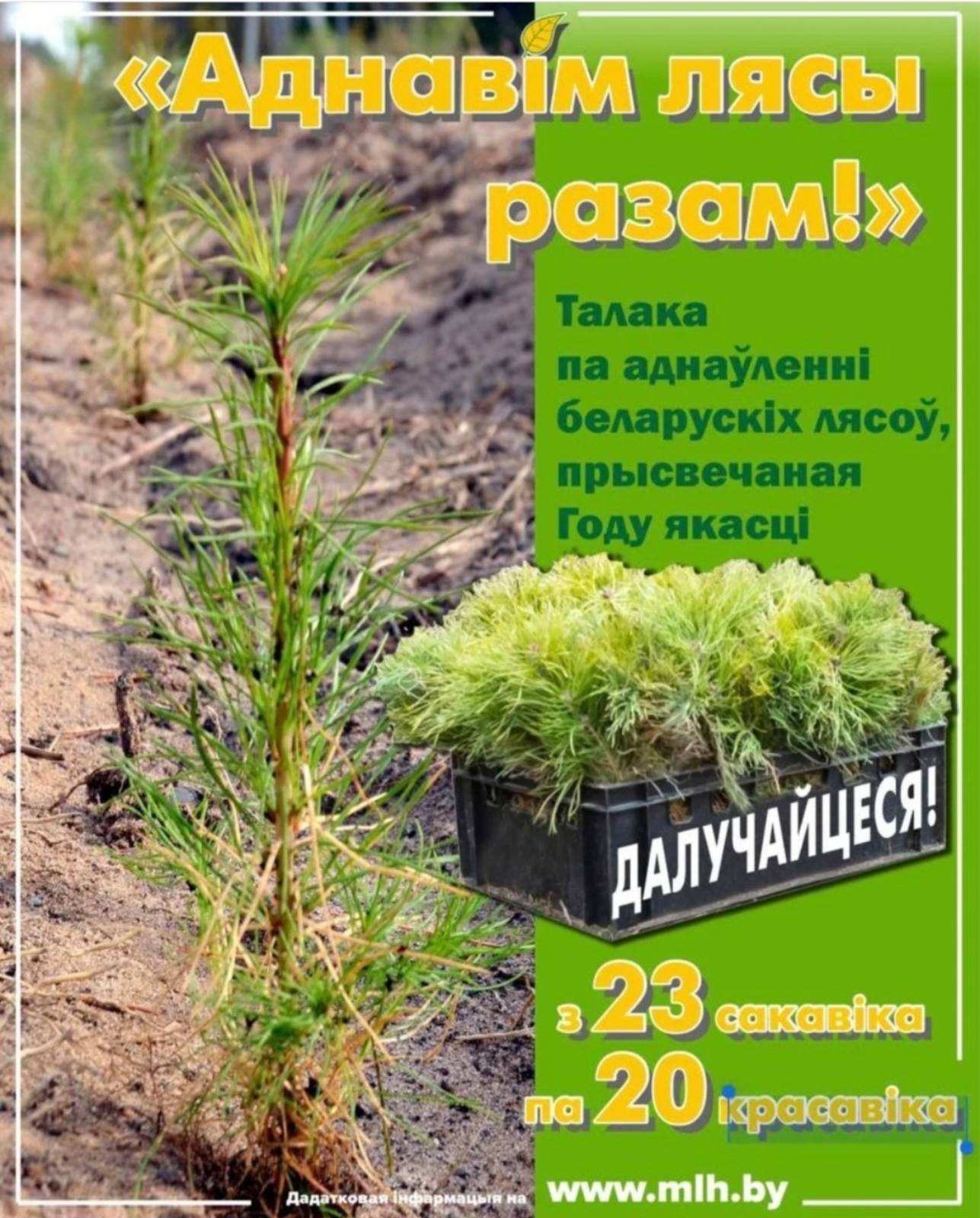 аднавим