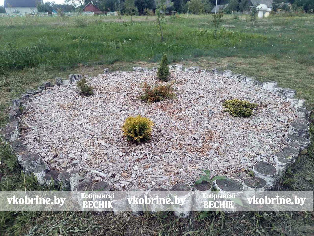 фото Клумба 2