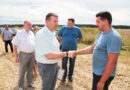 С почином: водитель Павел Сиротюк из ОАО «Батчи» первым в Кобринском районе перевёз тысячу тонн зерна